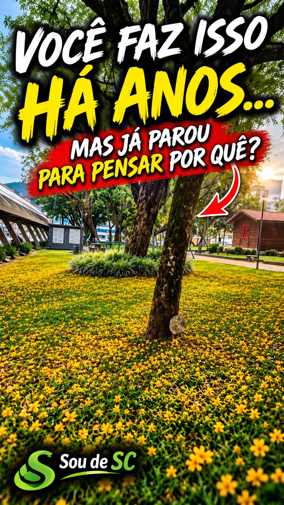 Você Faz Isso Há Anos_